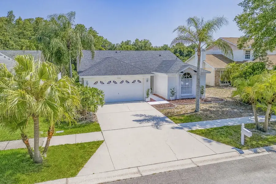 3048 Jodi Lane, Palm Harbor, FL 34684 - #2
