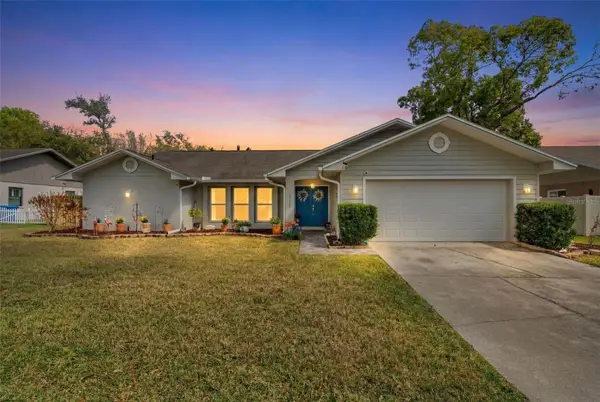 2715 Berryknoll Place, VALRICO, FL 33596