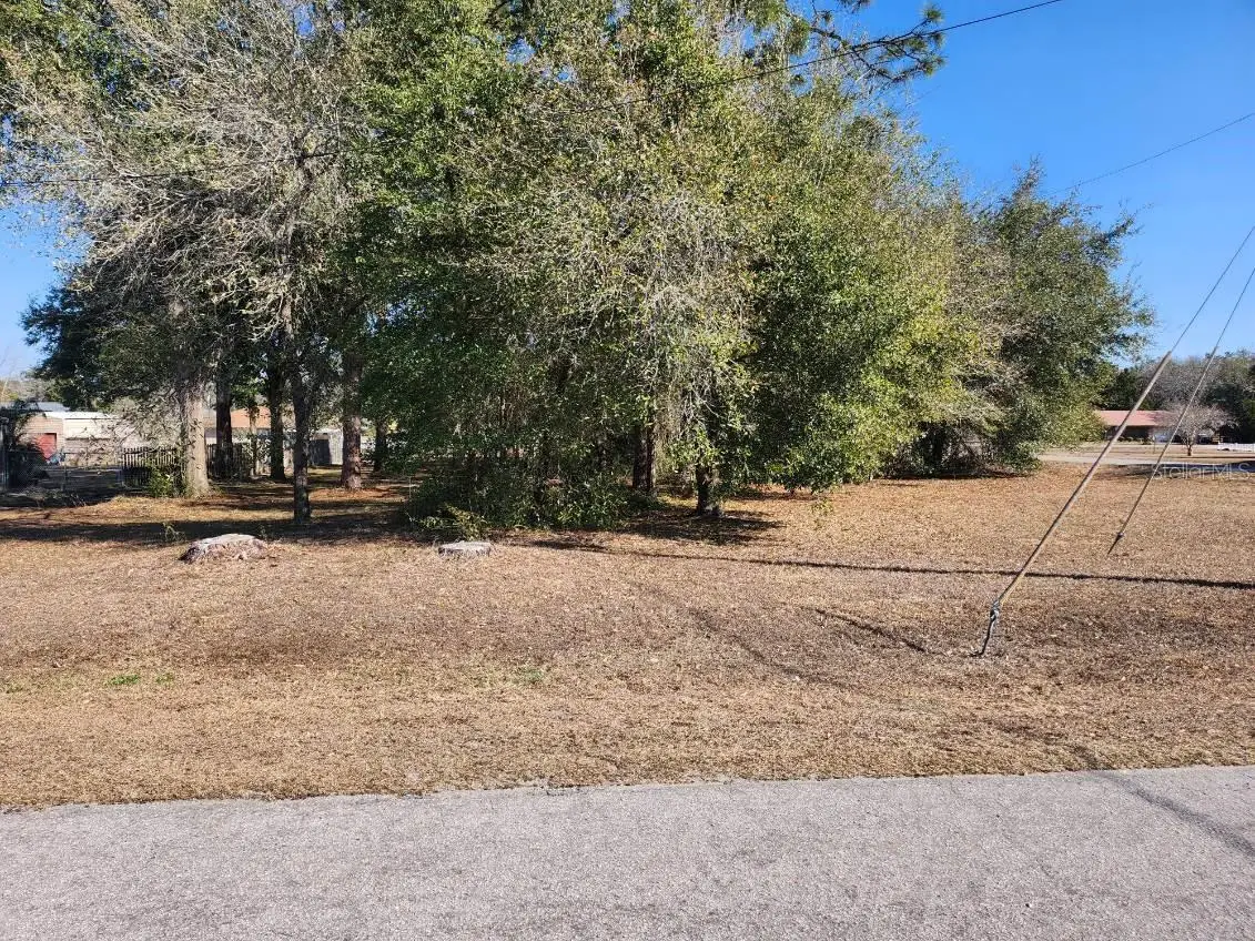 Se 97th Ter, Summerfield, FL 34491 - #1