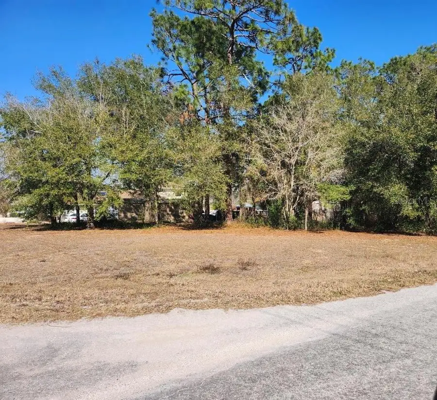 Se 97th Ter, Summerfield, FL 34491 - #2