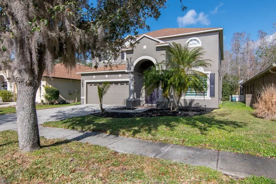 19159 Cypress Green Drive, Lutz, FL 33558 - #3