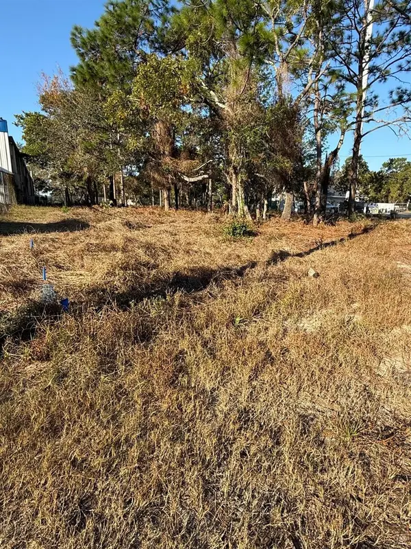 13786 Linden Drive, SPRING HILL, FL 34609