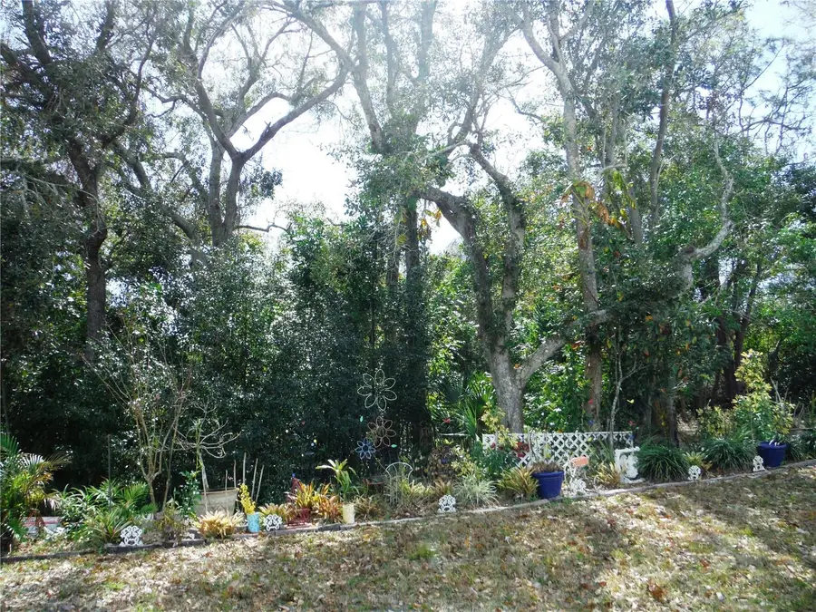 124 Juniperus Drive #45, Safety Harbor, FL 34695 - #2