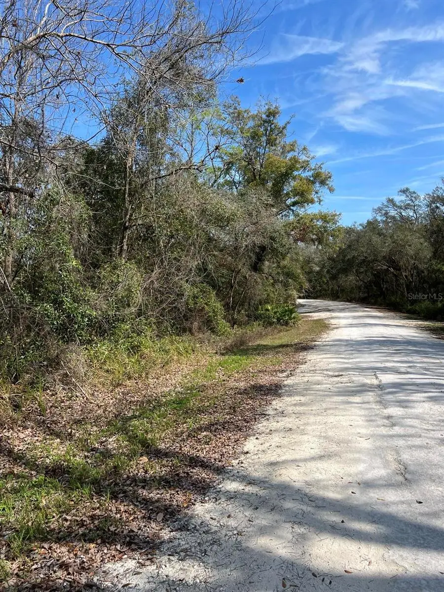 34085 Arrowrock Street, Webster, FL 33597 - #3