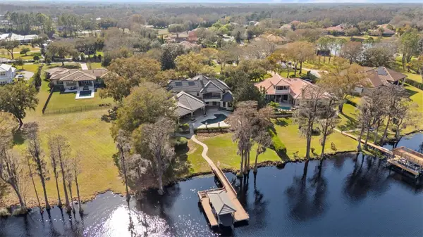 9902 Menander Wood Court, ODESSA, FL 33556