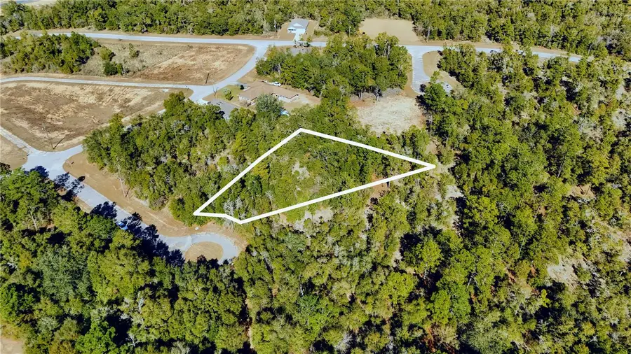 00 Lark Court, Chipley, FL 32428 - #2