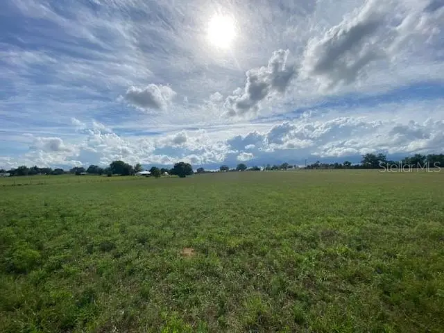 White Road, Brooksville, FL 34602 - #1
