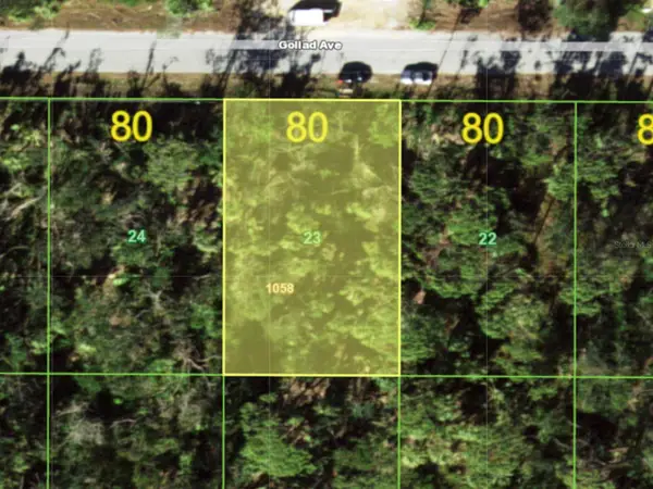 18161 Goliad Avenue, PORT CHARLOTTE, FL 33954