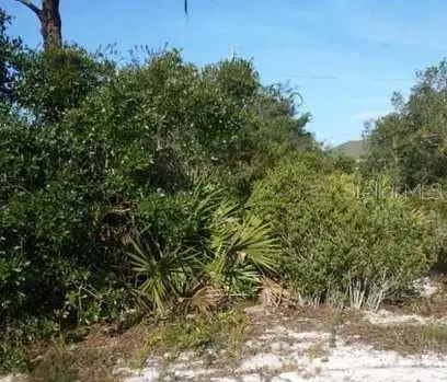 922 Aster Street, Lake Placid, FL 33862 - #1
