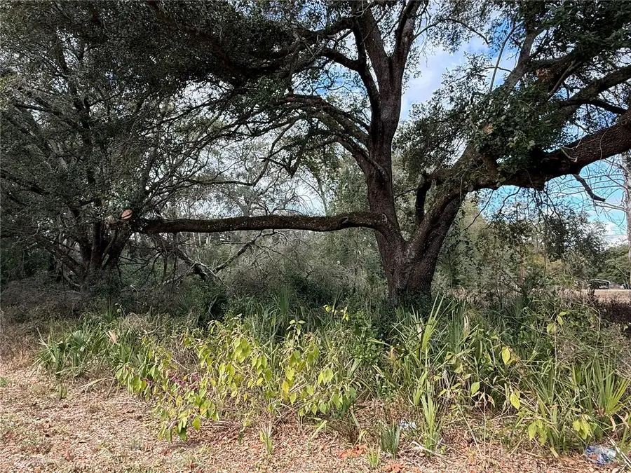0 Hilda Rd, Dade City, FL 33523 - #2