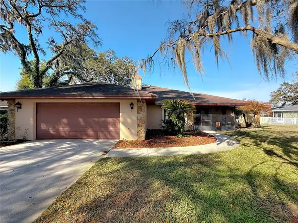 452 Summit Chase Drive, VALRICO, FL 33594