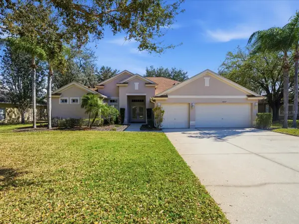 19107 Beckett Drive, ODESSA, FL 33556
