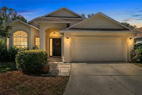 19014 Chemille Drive, LUTZ, FL 33558