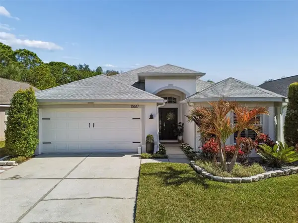 18617 Le Dauphine Place, LUTZ, FL 33558