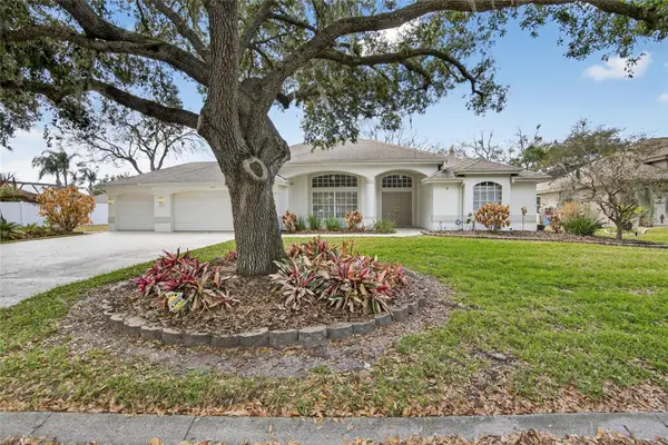 3303 Cummings Place, PLANT CITY, FL 33566