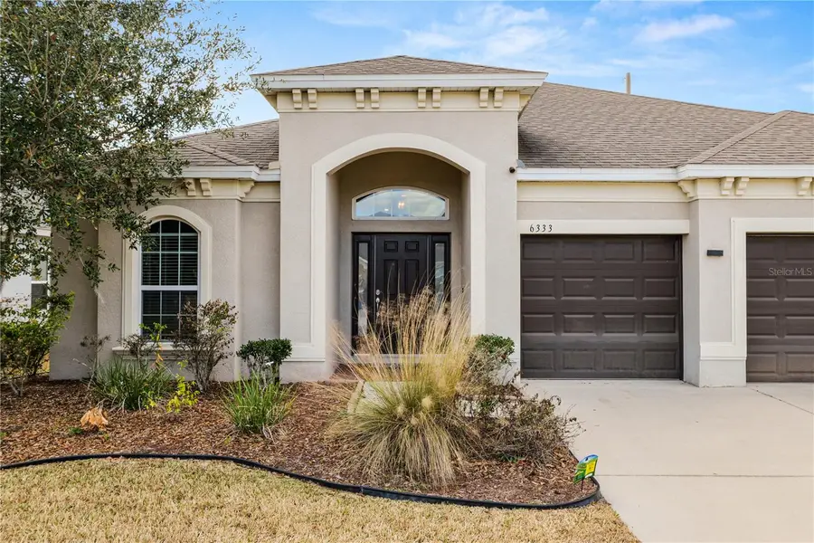 6333 Doe Path Court, Wesley Chapel, FL 33545 - #2