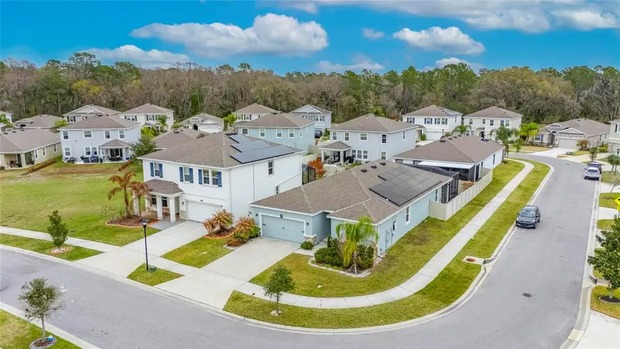 33146 Sand Creek Drive, Wesley Chapel, FL 33543 - #3