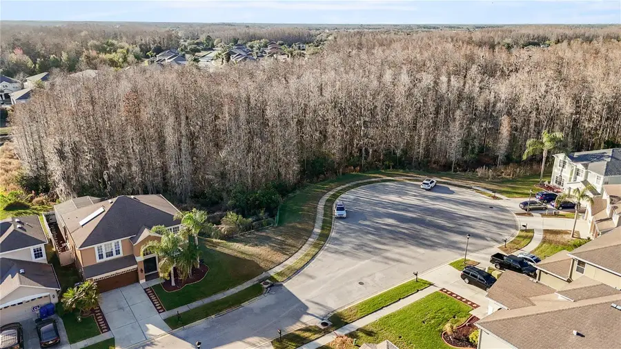 17953 Cunningham Court, Land O Lakes, FL 34638 - #3