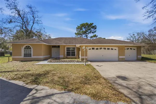 20000 Harvie Lane, LUTZ, FL 33558