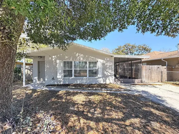 4107 W Grace Street, TAMPA, FL 33607