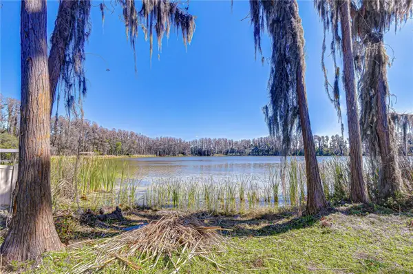 6608 Wisteria Loop, LAND O LAKES, FL 34638