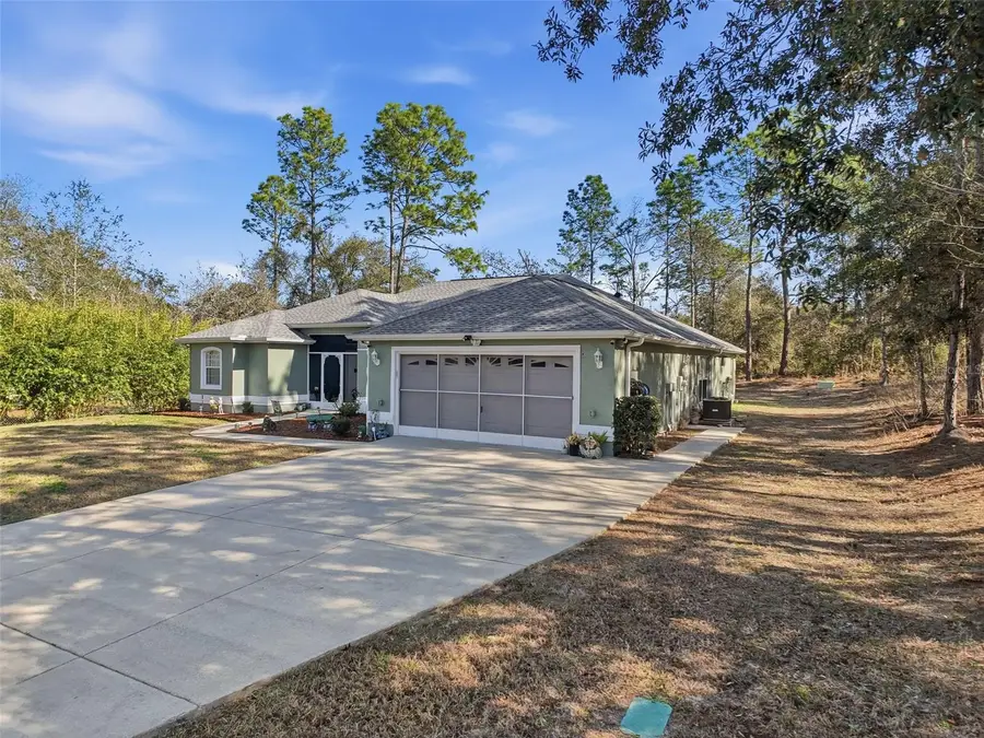 9131 N Alpinia Drive, Citrus Springs, FL 34434 - #2