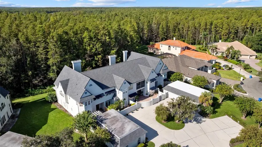 18756 Wimbledon Circle, Lutz, FL 33558 - #2