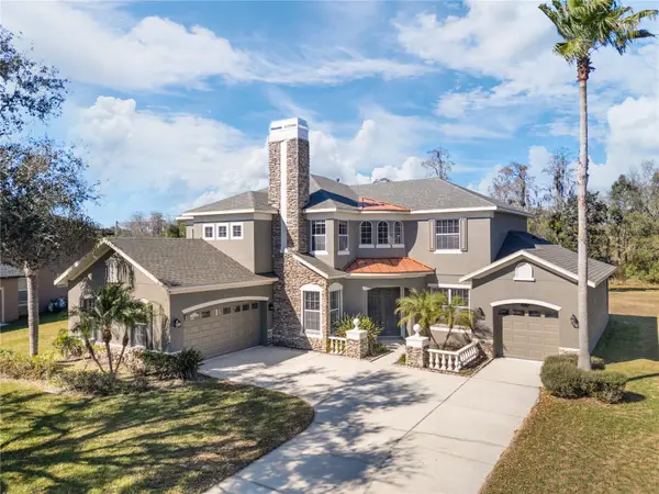 16637 Ashton Green Drive, LUTZ, FL 33558