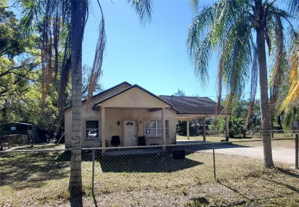 14623 Franklin Avenue, DOVER, FL 33527