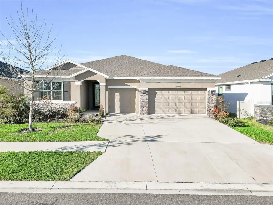 32289 Conchshell Sail Street, Wesley Chapel, FL 33545 - #2