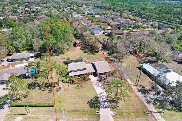 12508 Twin Branch Acres Road, TAMPA, FL 33626