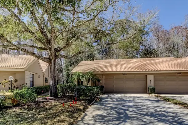 3020 Windmoor Drive, PALM HARBOR, FL 34685