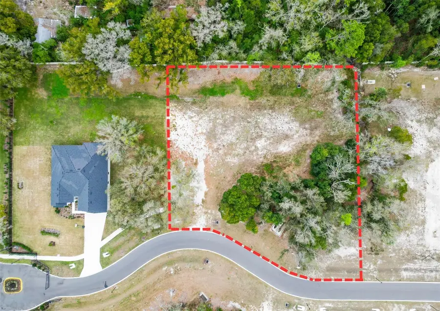 18469 Purple Creek Lane, Lutz, FL 33549 - #2
