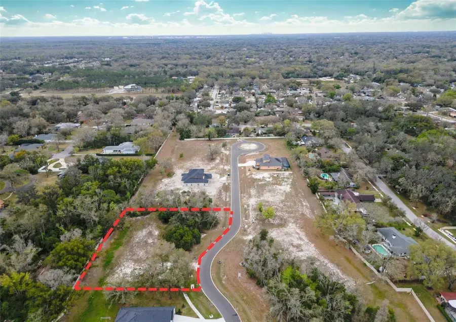 18469 Purple Creek Lane, Lutz, FL 33549 - #3