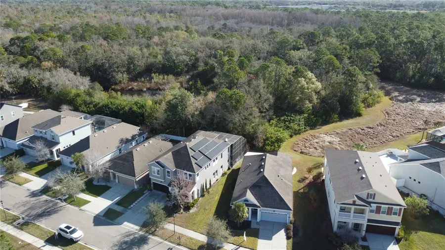 11403 Quiet Forest Drive, Tampa, FL 33635 - #2