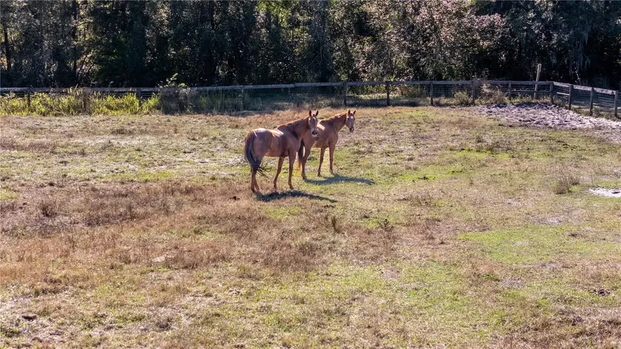 11560 Tarpon Springs, Odessa, FL 33556 - #2