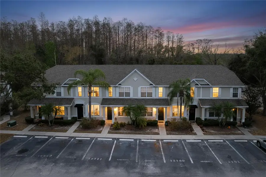 12711 Sunland Court, Tampa, FL 33625 - #2