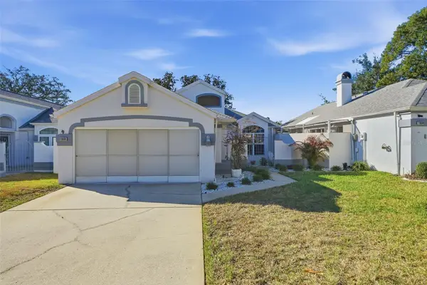 11008 Casa Grande, SPRING HILL, FL 34608