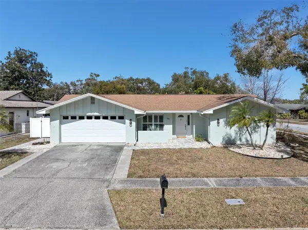 101 Chestnut Circle, SAFETY HARBOR, FL 34695
