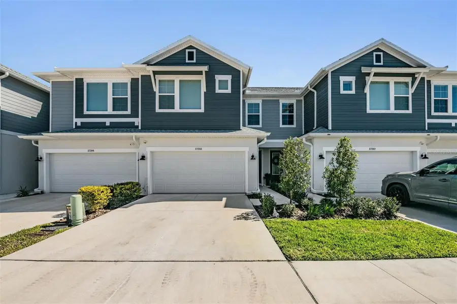 17288 Balance Cove, Land O Lakes, FL 34638 - #2