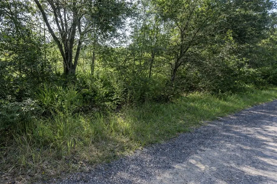 0 Olsen Street, New Port Richey, FL 34654 - #2