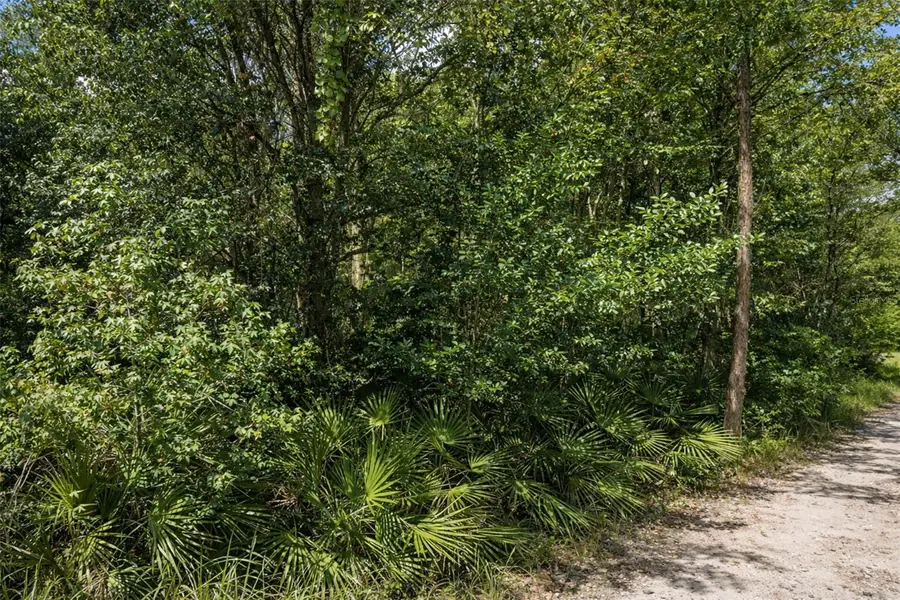 0 Olsen Street, New Port Richey, FL 34654 - #3