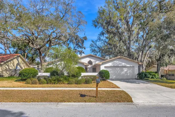 1011 Meadowcrest Drive, VALRICO, FL 33594