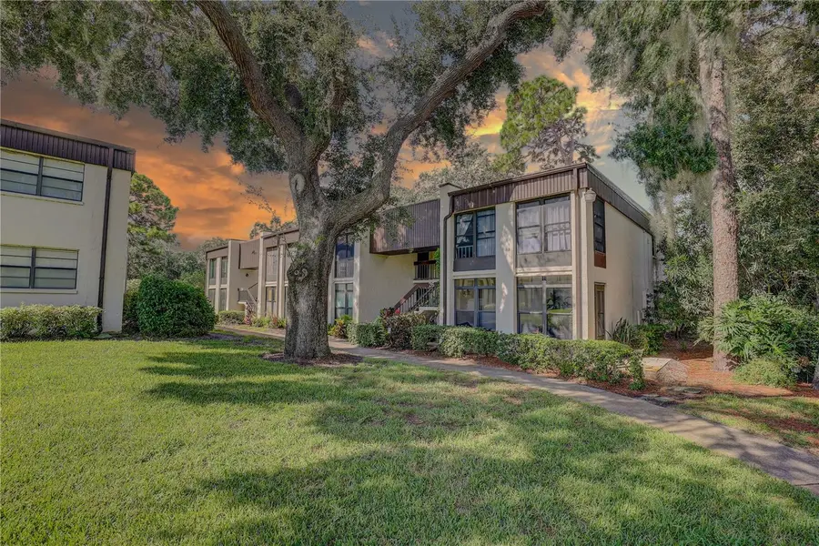 2400 Winding Creek Boulevard #26-203, Clearwater, FL 33761 - #3