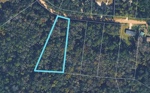 4959 Chickpea Street, MIDDLEBURG, FL 32068