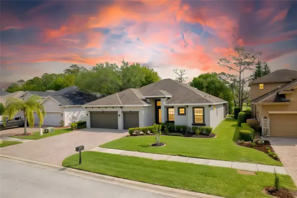 13030 Eagles Entry Drive, ODESSA, FL 33556