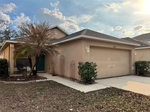 13709 Gentle Woods Avenue, RIVERVIEW, FL 33569