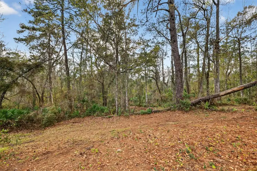 Powell Road, Brooksville, FL 34602 - #3