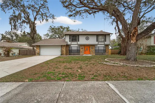 206 Bayfield Drive, BRANDON, FL 33511