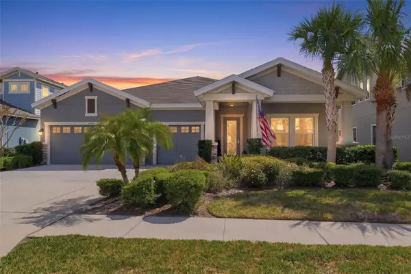 8130 Water Color Drive, LAND O LAKES, FL 34638